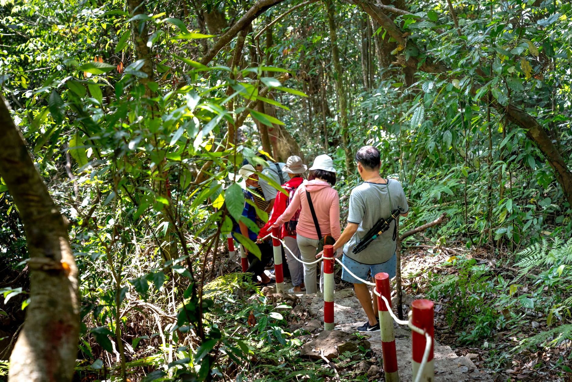 Turistas observando a fauna na selva brasileira