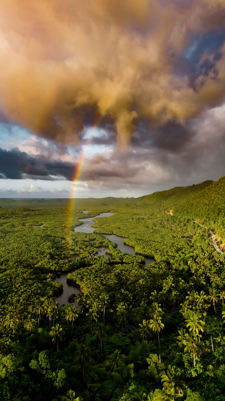 Paisagem maravilhosa da Floresta Amazônica ao pôr do sol